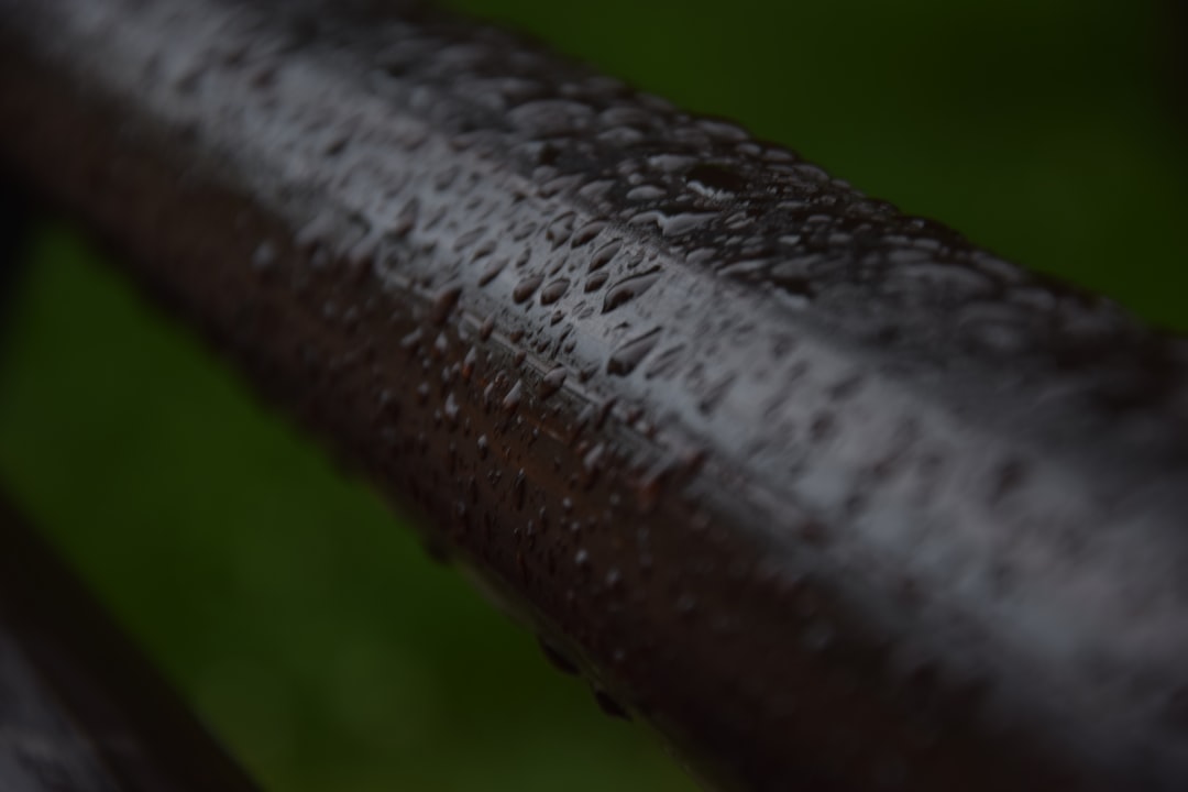 Rainloop, how to use Rainloop, Rainloop snapshot and restore workflow