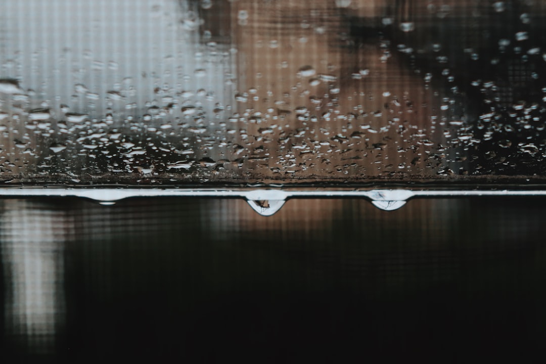 Rainloop, how to use Rainloop, Rainloop snapshot and restore workflow