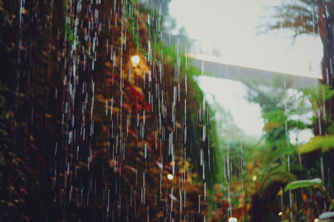 Rainloop, how to use Rainloop, Rainloop snapshot and restore workflow