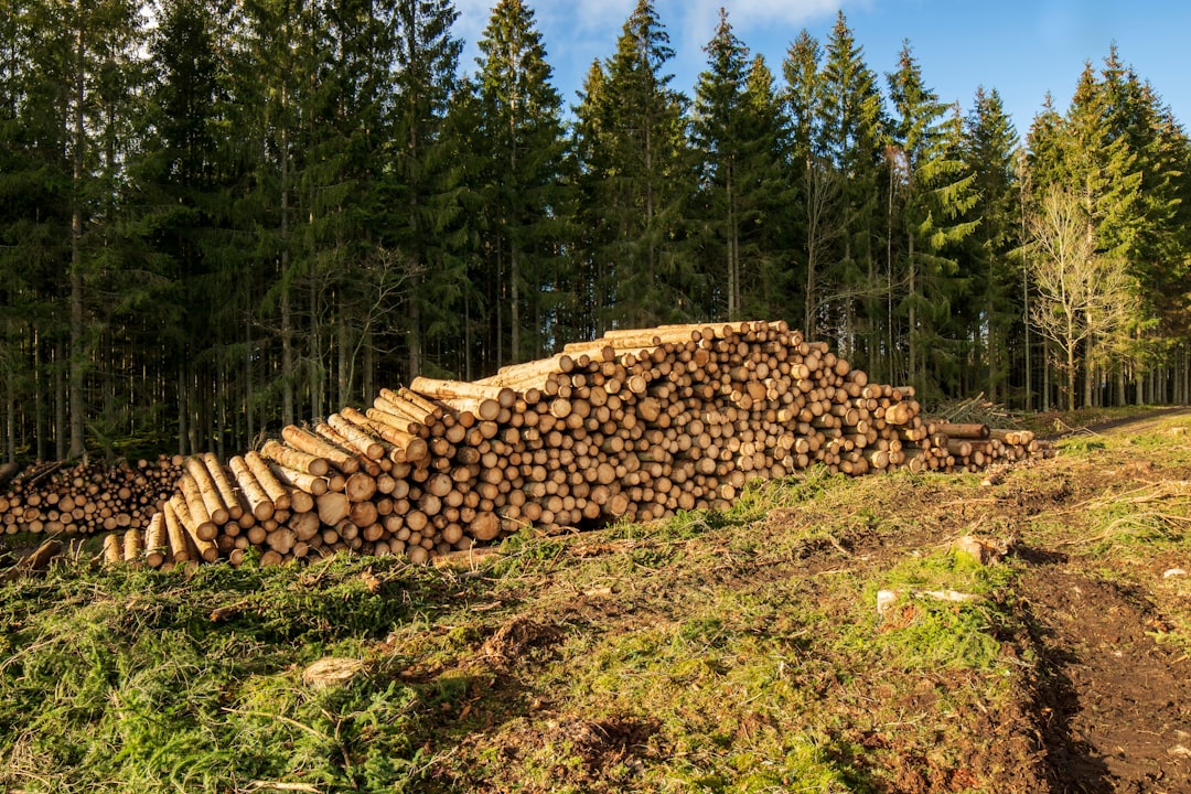 Netdata, how to use Netdata, Netdata snapshot and restore workflow