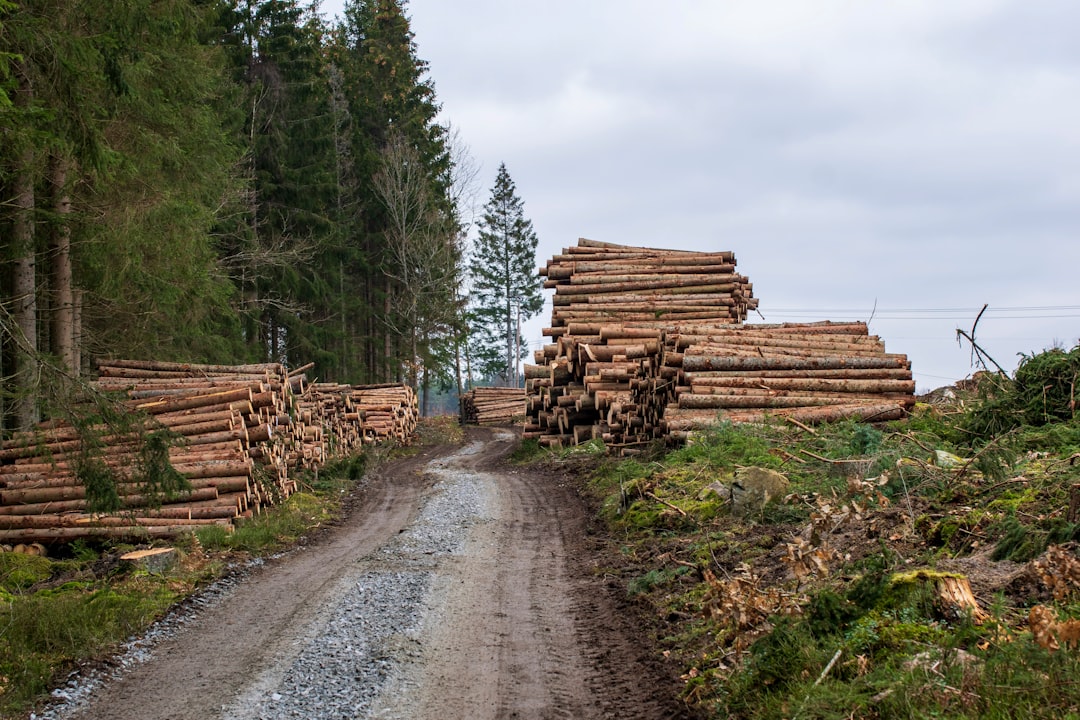 Zabbix, how to use Zabbix, Zabbix snapshot and restore workflow