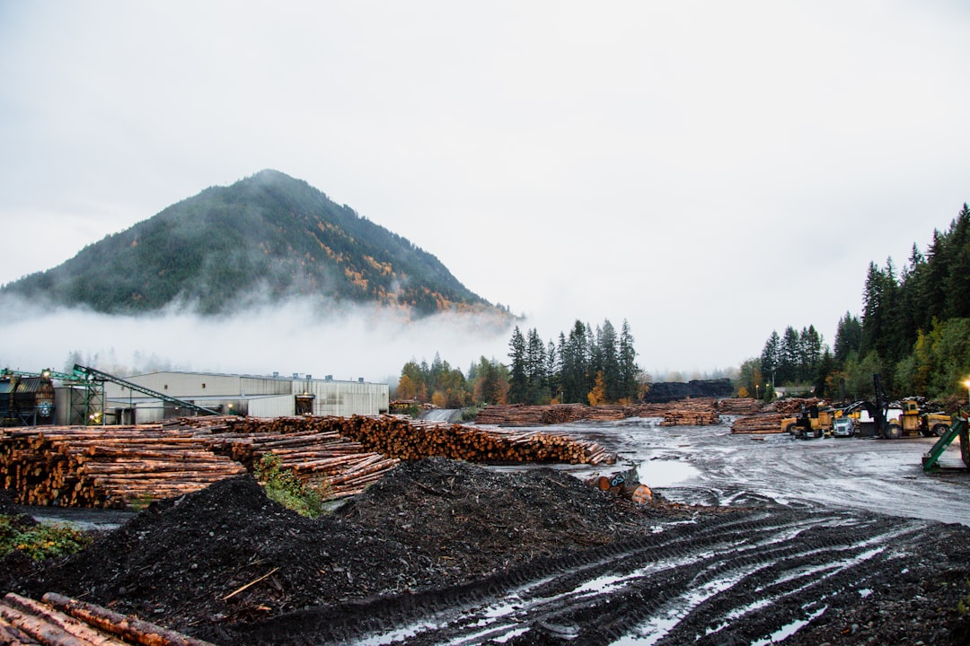 Netdata, how to use Netdata, Netdata snapshot and restore workflow