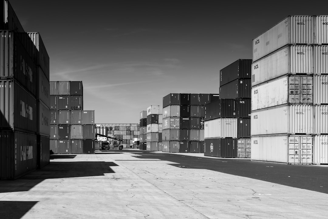 Portainer CE, how to use Portainer CE, Portainer CE snapshot and restore workflow