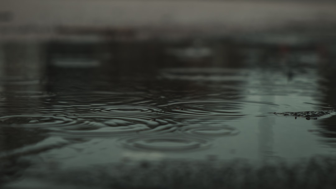 Rainloop, how to use Rainloop, Rainloop snapshot and restore workflow