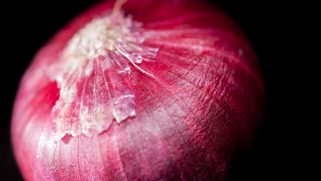 Security Onion, how to use Security Onion, Security Onion snapshot and restore workflow