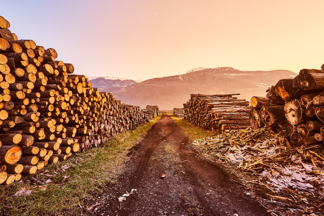 Zabbix, how to use Zabbix, Zabbix snapshot and restore workflow